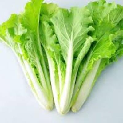 照片名稱